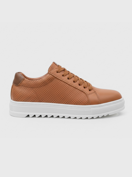 Arion Tierra para hombre