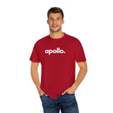Apollo ModaCamiseta teñida en prenda de hombre de color rojo