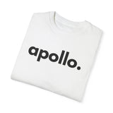 Apollo ModaCamiseta teñida en prenda de hombre de color blanco