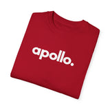 Apollo Moda Men's Red Garment-Dyed T-shirt