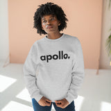 Women's Apollo Moda Heather Grey Crewneck Sweatshirt