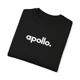 Apollo ModaCamiseta teñida en prenda de hombre de color negro