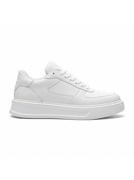 White sneaker on a white background